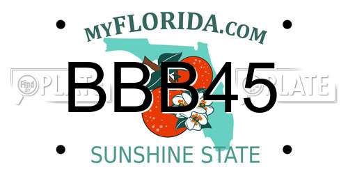 BBB45 Florida License Plate