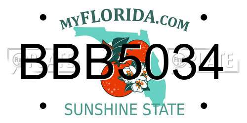 BBB5034 Florida License Plate