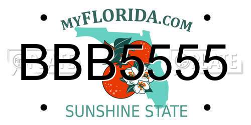 BBB5555 Florida License Plate