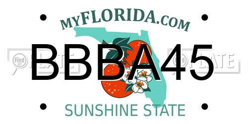 BBBA45 Florida License Plate