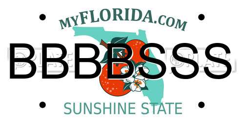 BBBBSSS Florida License Plate