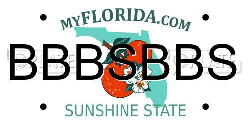 BBBSBBS Florida License Plate
