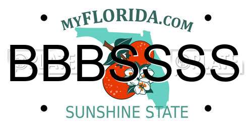 BBBSSSS Florida License Plate