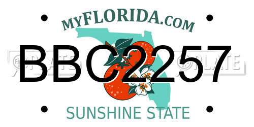 BBC2257 Florida License Plate