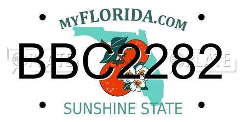 BBC2282 Florida License Plate