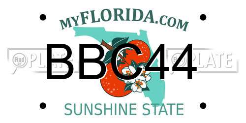 BBC44 Florida License Plate