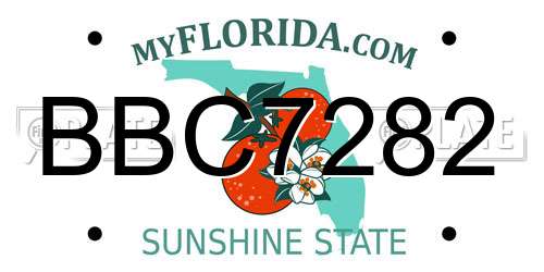BBC7282 Florida License Plate