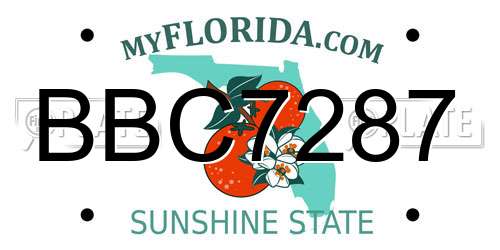 BBC7287 Florida License Plate