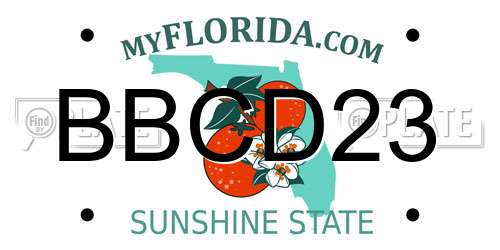 BBCD23 Florida License Plate