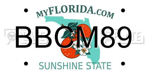 BBCM89 Florida License Plate