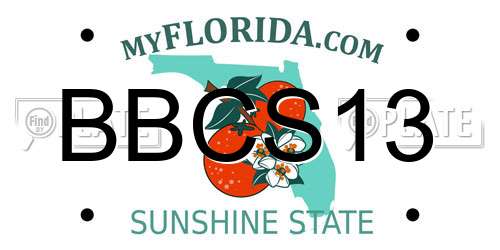 BBCS13 Florida License Plate