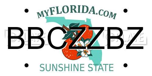 BBCZZBZ Florida License Plate
