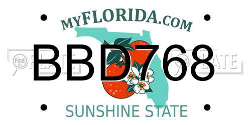 BBD768 Florida License Plate