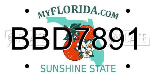 BBD7891 Florida License Plate
