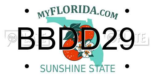 BBDD29 Florida License Plate