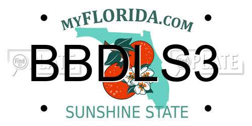 BBDLS3 Florida License Plate