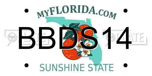 BBDS14 Florida License Plate
