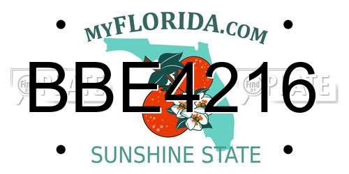 BBE4216 Florida License Plate
