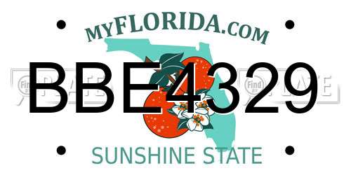 BBE4329 Florida License Plate