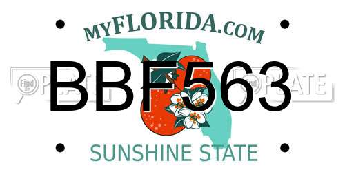 BBF563 Florida License Plate