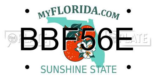 BBF56E Florida License Plate