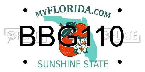 BBG110 Florida License Plate