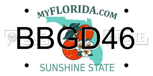 BBGD46 Florida License Plate
