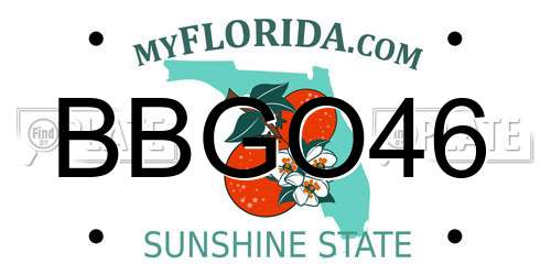 BBGO46 Florida License Plate