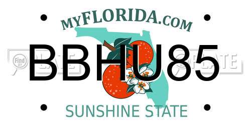 BBHU85 Florida License Plate