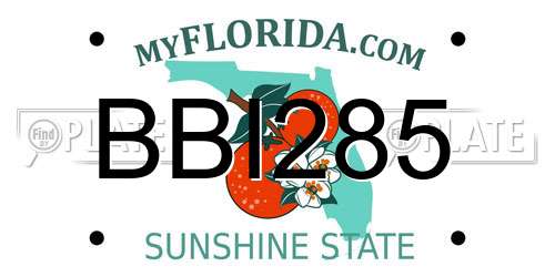 BBI285 Florida License Plate