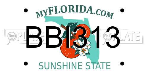 BBI313 Florida License Plate