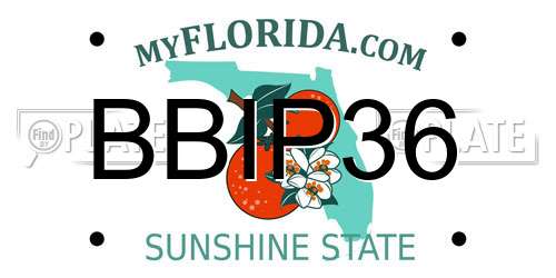 BBIP36 Florida License Plate