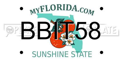 BBIT58 Florida License Plate