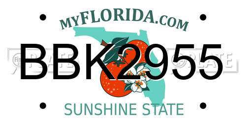 BBK2955 Florida License Plate