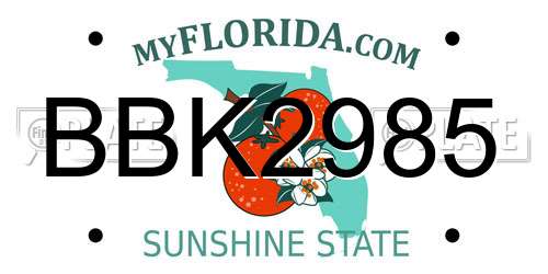 BBK2985 Florida License Plate