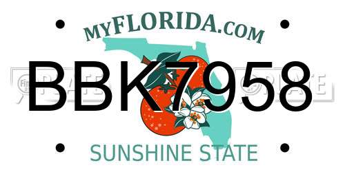 BBK7958 Florida License Plate