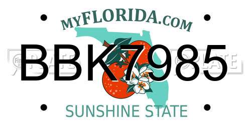 BBK7985 Florida License Plate
