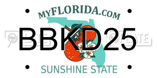 BBKD25 Florida License Plate