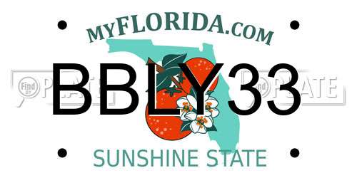 BBLY33 Florida License Plate