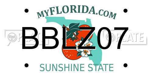 BBLZ07 Florida License Plate