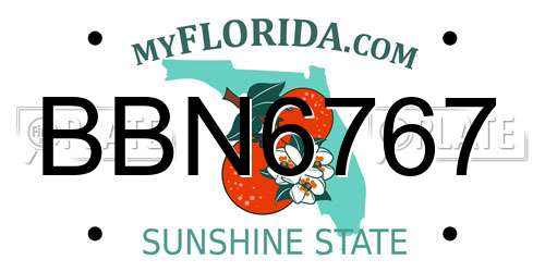 BBN6767 Florida License Plate