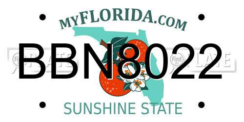BBN8022 Florida License Plate