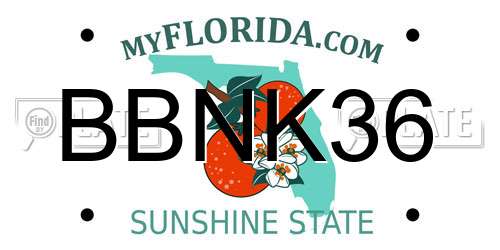 BBNK36 Florida License Plate