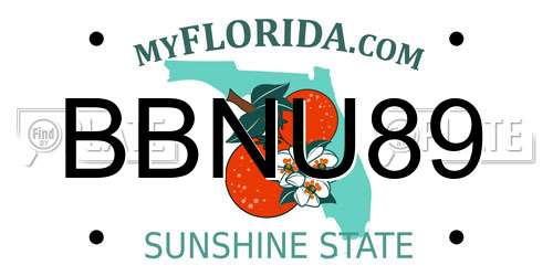 BBNU89 Florida License Plate