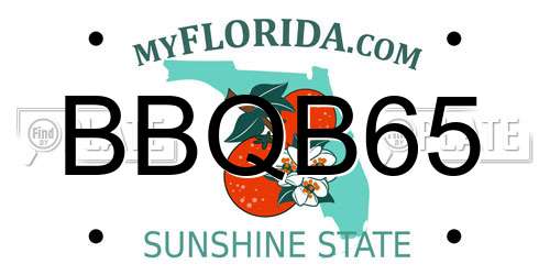 BBQB65 Florida License Plate