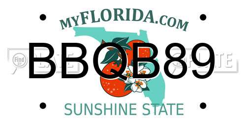 BBQB89 Florida License Plate