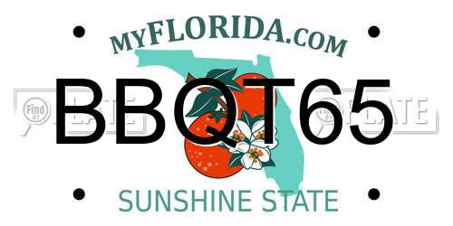 BBQT65 Florida License Plate