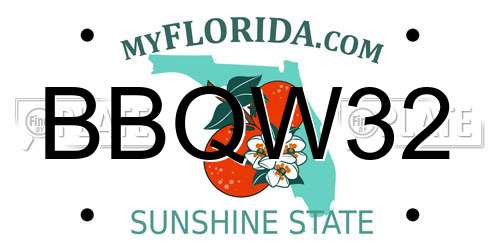 BBQW32 Florida License Plate