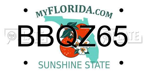 BBQZ65 Florida License Plate