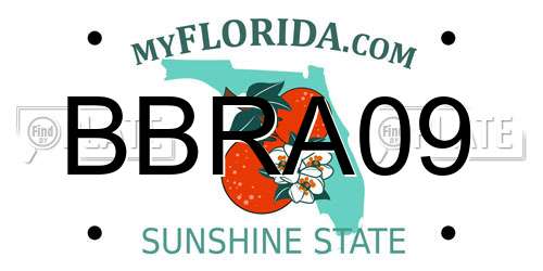 BBRA09 Florida License Plate